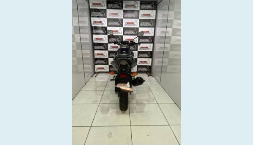 YAMAHA YS 250 FAZER STREET - ROXO - 2013 Foto 6 (Grande)
