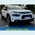 Veículo: C4 CACTUS FEEL 1.6 (Sidebar)