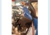 Veículo: HONDA NXR 160 BROS (Recentes)